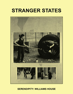 Stranger States, No Longer Real | Works by Makiko Nagaya and Peter Lewis